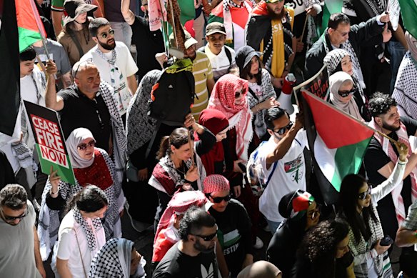 A pro-Palestine protest at Hyde Park in Sydney in October 2024. 