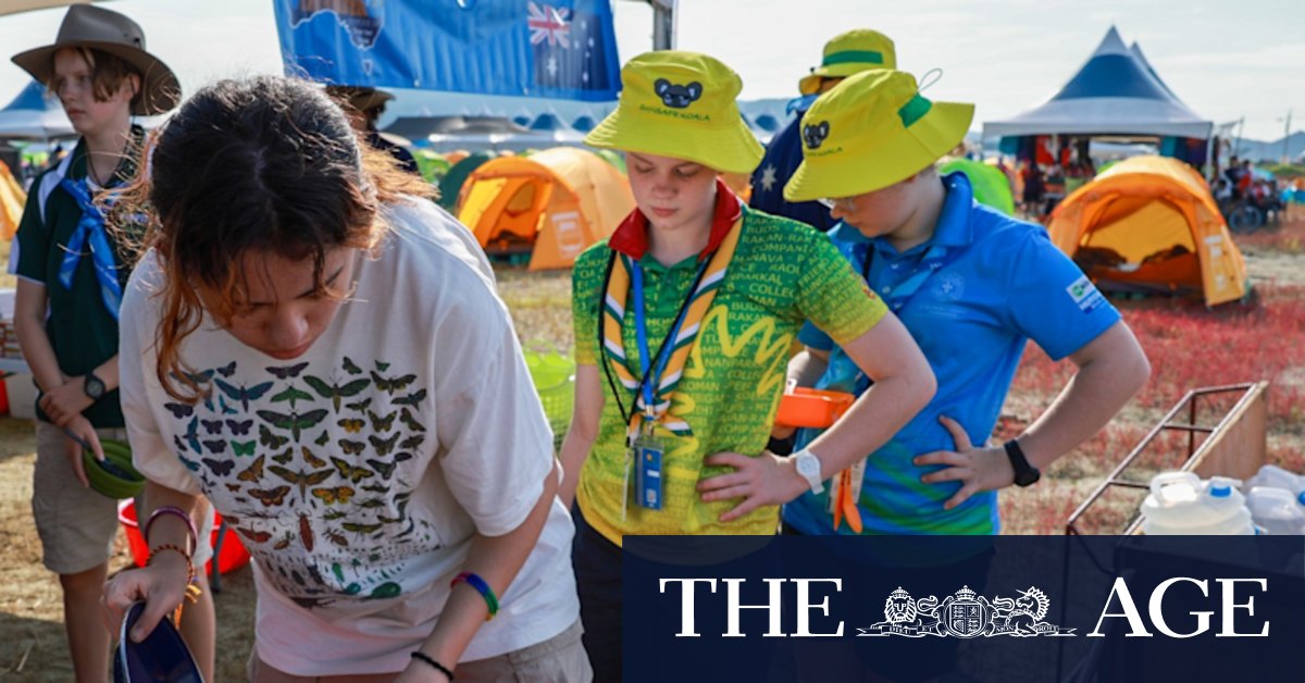 World Scout Jamboree in South Korea sees Australian scouts stay put as UK, US contingents pull out - Vimarsana News