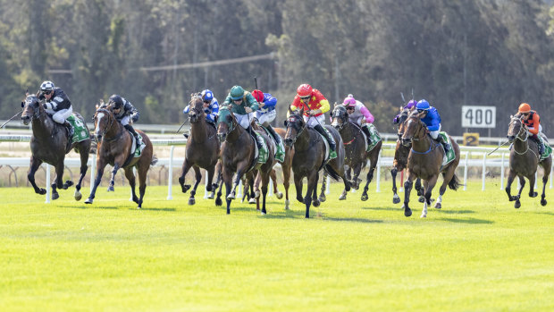 An eight-race card is scheduled for  Wyong on Thursday.