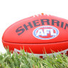 AFL