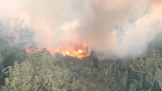 The fire on Fraser Island, which has been burning for weeks, has ravaged half of the island.