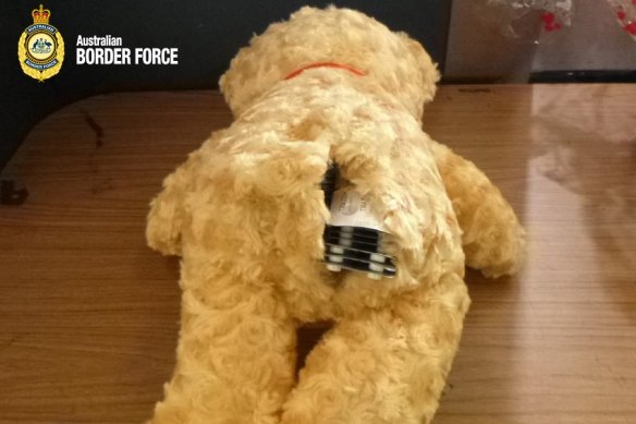The bear was found with 500 tablets hidden in its stuffing.