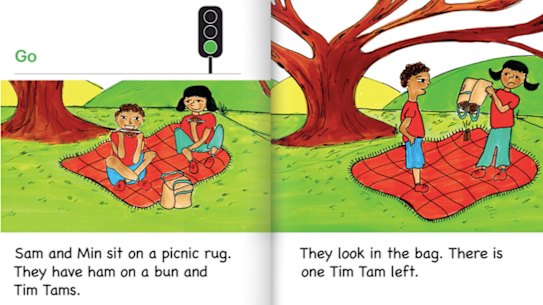 Decodable texts use sound-letter combinations that children have already learned, so they can become more fluent.