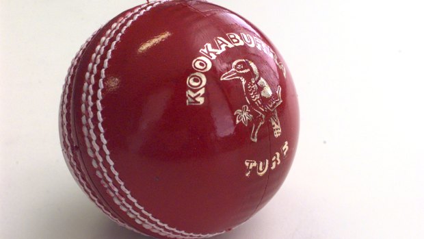 Shane Warne and his fellow panel members want one brand of ball used across Test cricket.