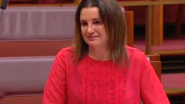 Cuts to welfare moved Jacqui Lambie to tears in 2017.