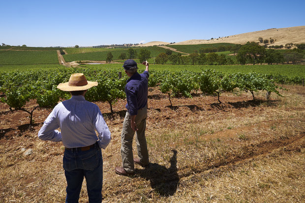 Wendouree in SA’s Clare Valley has “greedily sought-after reds”.