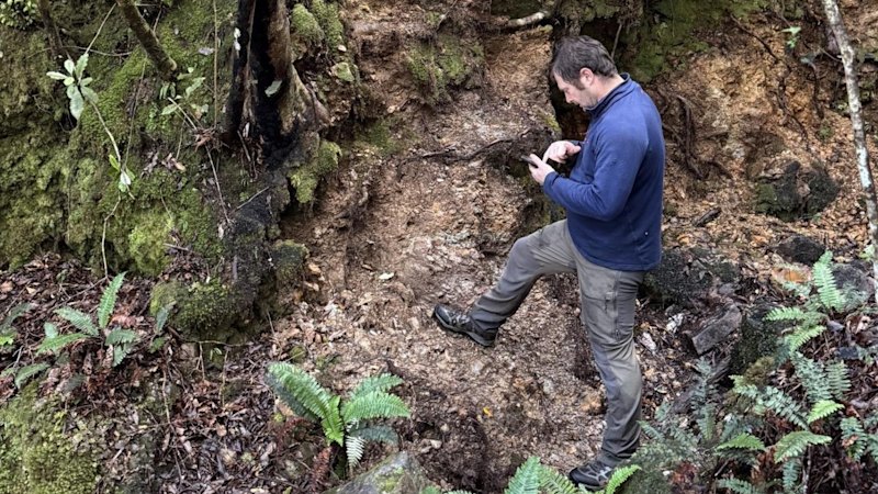 Historic Kiwi Project Yields High-grade Gold, Antimony for Siren