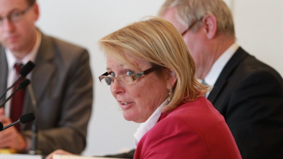 Labor MP Lynda Voltz has put her hand up for Luke Foley's seat of Auburn.