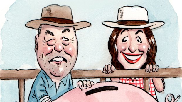 Newly minted Queensland Senator Susan McDonald challenged Victorian farmer Peter Schwarz for the role of treasurer