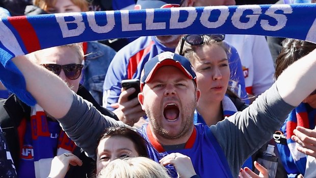 Fans gathered at Whitten Oval to celebrate the club's famous 2016 premiership.