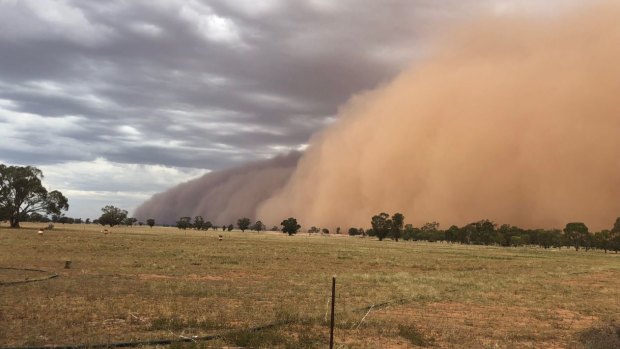 NSW farmer Scott Richardson's drought-affected property. 