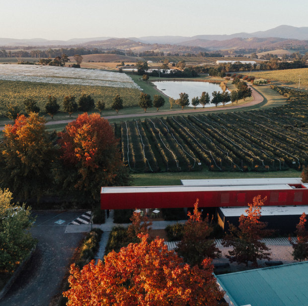 Top-ranking Oakridge Wines is known for its chardonnay, though its cabernet and pinot noir have also starred this year.