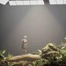 Major galleries reveal their 2025 blockbusters – with big surprises in store