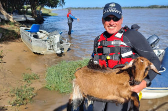 Victoria Police rescue a goat from the floods.