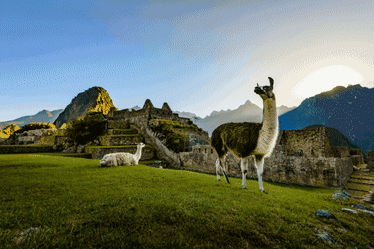 Win a 21-day Inspiring South America tour, including flights*