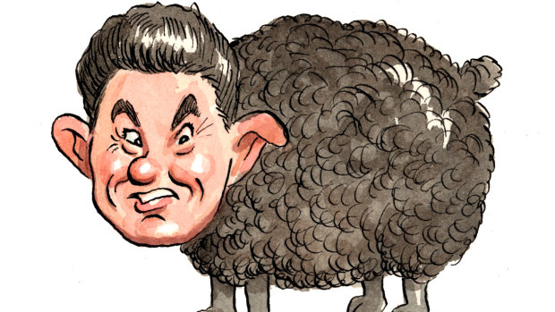 The revelation Greens senator Scott Ludlam was a New Zealand citizen started a whirlwind of disqualifications. Illustration: John Shakespeare