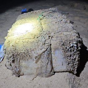 A barnacle-crusted cocaine brick that washed up at Magenta on December 22. 
