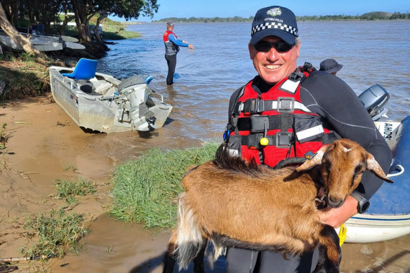 Victoria Police rescue a goat from the floods.