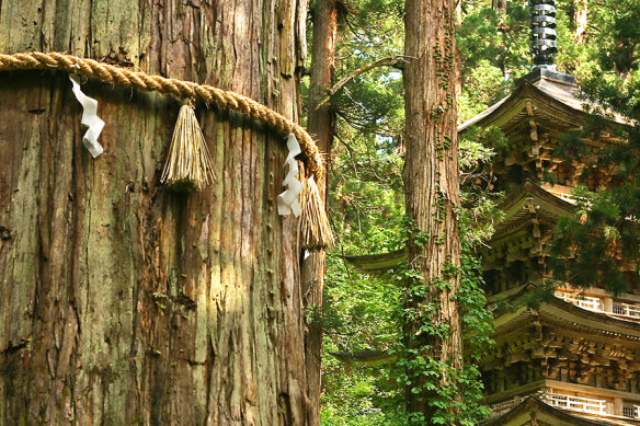 Tracing the footsteps of poet Matsuo Basho on the trail at Hiraizumi.