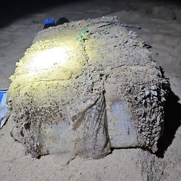 One of the barnacle-encrusted packets of cocaine that washed up on NSW beaches last year.