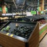 Sydney supermarket shelves left bare following Woolworths worker death