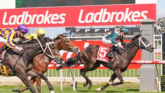 Ladbrokes owner Entain is being investigated by AUSTRAC.