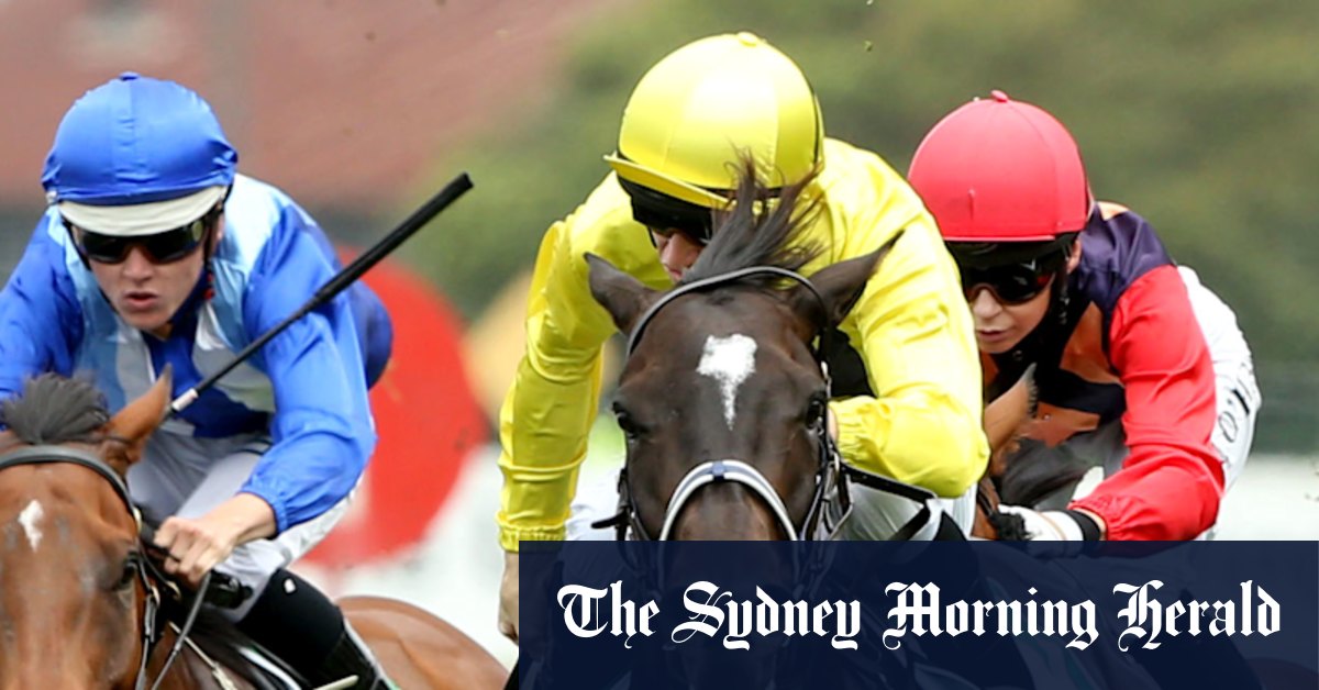 Rising trainer chasing second quick win from Canberra base