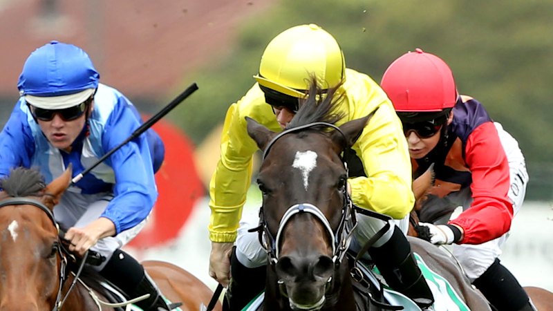 Rising trainer chasing second quick win from Canberra base