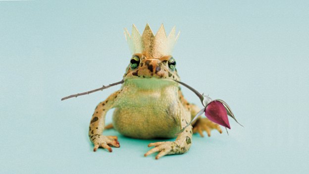 "I wanted to believe in a prince, in the idea I might have met the one, the fairy tale. I wanted to believe in love."