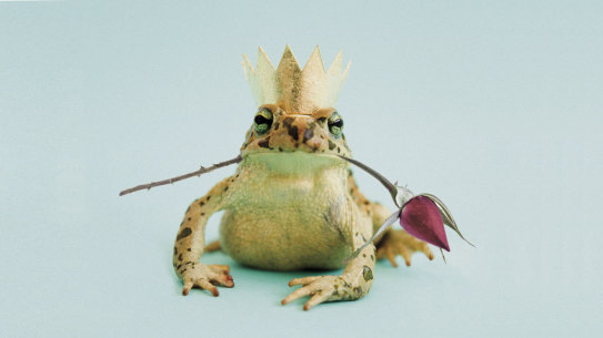 "I wanted to believe in a prince, in the idea I might have met the one, the fairy tale. I wanted to believe in love."