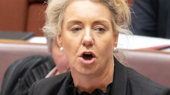 Under pressure: Bridget McKenzie.