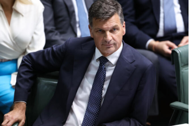 Opposition Leader Angus Taylor during question time at Parliament House in Canberra
