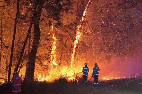 Firefighters battle the Currowan bushfire burning at emergency level north of Batemans Bay. 