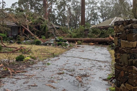 Damage in the Dandenong Ranges.