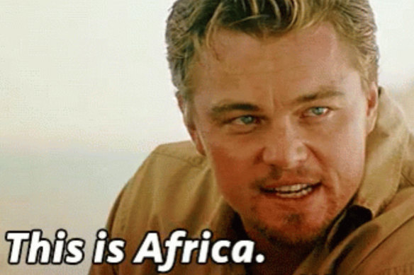 “This is Africa” has become a viral meme shared among retail investors.