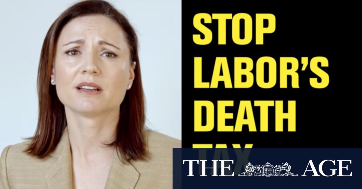 Infomercials and other dishonest commercials essay image