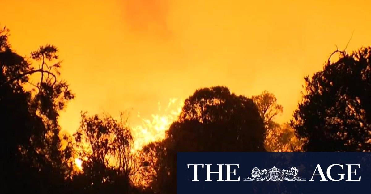 Possible threat to homes as firefighters battle to control bushfire in Perth's north east - Vimarsana News