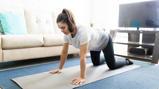 The cat/cow helps lengthen the back and open the shoulders.