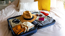 Bedbugs can be carried on suitcases.