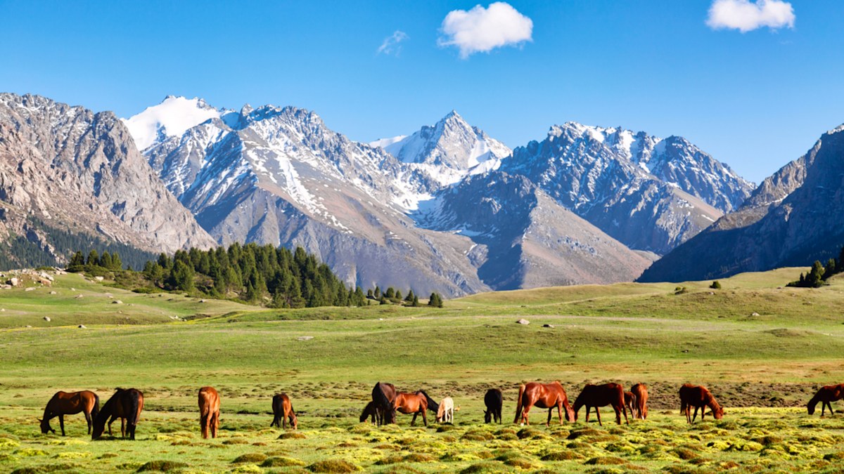 Aussies are ditching Thailand for this unlikely Asian destination