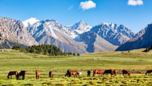 Kyrgyzstan and other Central Asian countries have a lot for nature lovers. 
