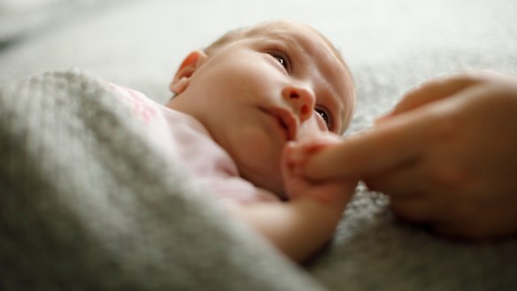 Australia’s fertility rate has fallen to a record low in the wake of COVID-19.