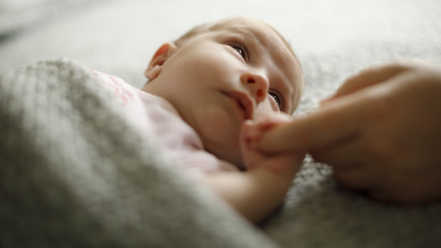About 61,700 births were registered in Queensland last year. 