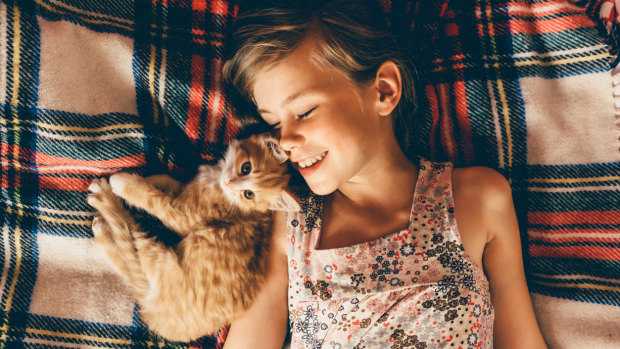 Far from being aloof and living largely separate lives from their human, cats rely on us for their emotional wellbeing.