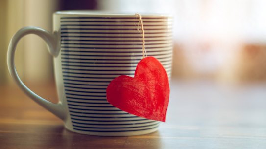 Kathy Lette: If ever in doubt, just remember that embarrassment lasts a moment, regret a lifetime.