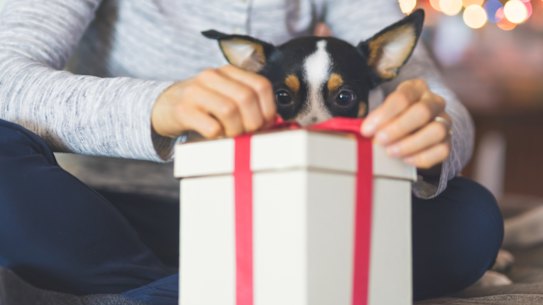 Remember that the dark cloud of the year that was will not lighten swiftly. It will take time for us to heal and to feel comfortable again.