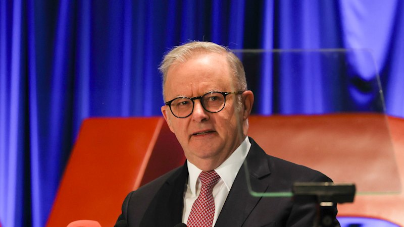 Albanese flags crackdown on power-hungry data centres and AI copyright theft