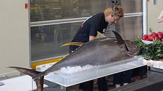Performative carve up of a whole yellow fin tuna at Powerhouse Museum’s Christmas drinks. 