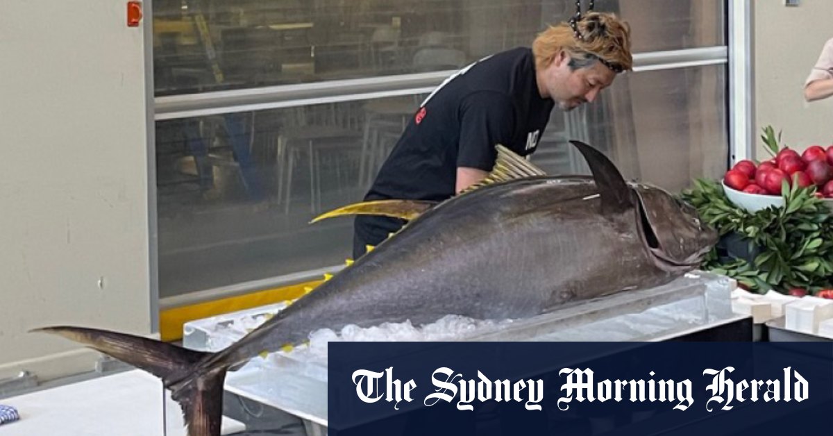 Live-Sushi-Zubereitung, Garnelen und Pav: Powerhouse Museum verteidigt ...