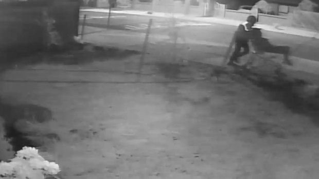 CCTV footage of killer Norden Wilio pushing his critically injured friend Ali Ali, who he mistakenly shot, though the streets of Meadow Heights in a shopping trolley.